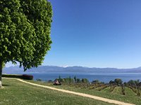 2017-04-23 17-11-41 e1e4002f  down in Perroy